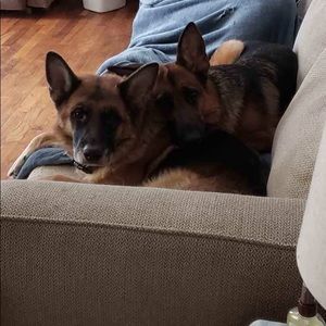 Meet your Posher, Christina